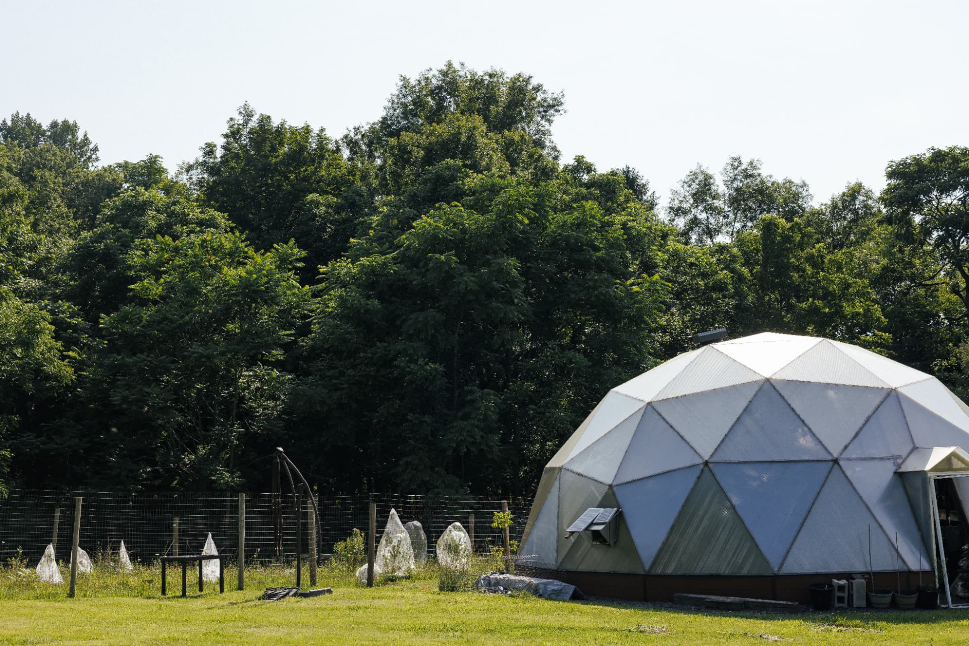 Geodesic dome beside the garden beds and treeline